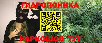 гашик Малоярославец